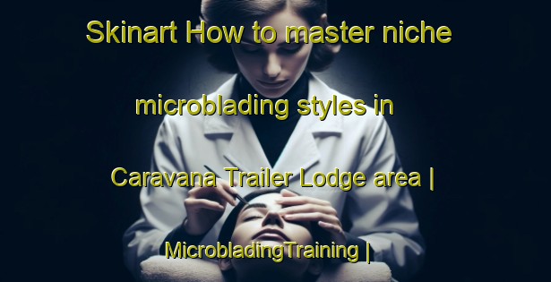 Skinart How to master niche microblading styles in Caravana Trailer Lodge area | MicrobladingTraining | MicrobladingClasses | SkinartTraining-United States